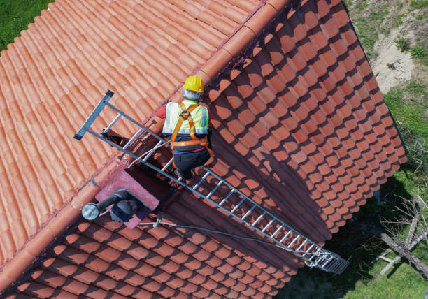 Best Roof Coating and Sealing  in Grandy, NC