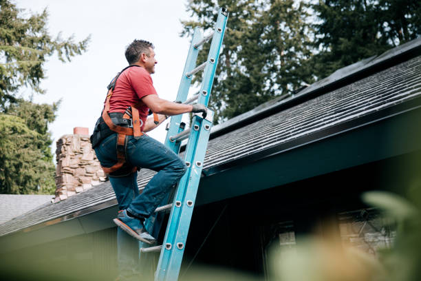 Best Gutter Installation and Repair  in Grandy, NC