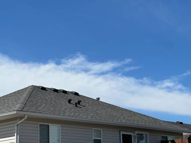 Best Roof Repair  in Grandy, NC